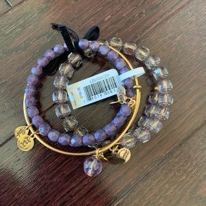 Alex and Ani Bangle Set